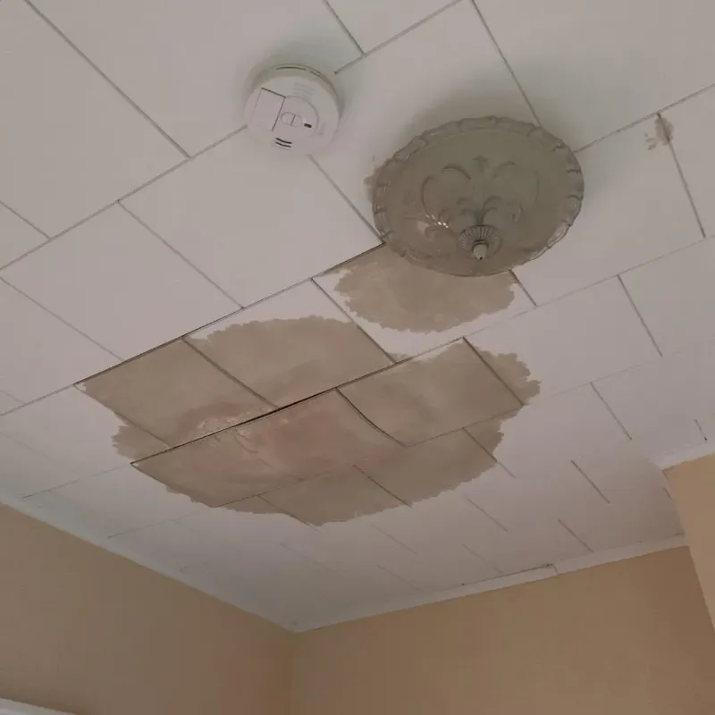 Ceiling Water Damage Repair in Harper County, KS