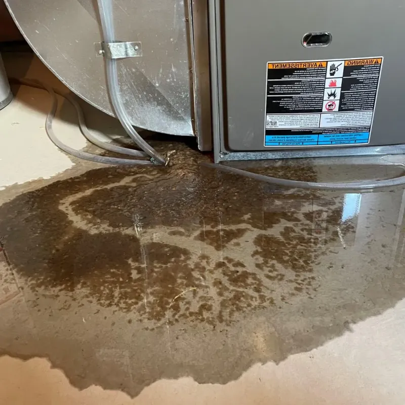 Pipe Burst and Leak Restoration in Harper County, KS